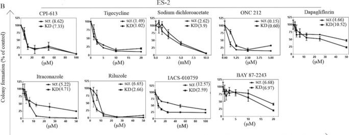 Fig.4.B from the publication: Targeting Mitochondrial Metabolism in Clear Cell Carcinoma of the Ovaries.