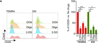 Fig.6.A showing Flow cytometry/Cell sorting from the publication: IL-15 Harnesses Pro-inflammatory Function of TEMRA CD8 in Kidney-Transplant Recipients.