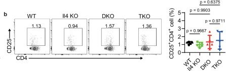 Fig.7.B showing Flow cytometry/Cell sorting in a Mus musculus (House mouse) sample from the publication: The E3 ligases Itch and WWP2 regulate autoimmune neuroinflammation by controlling TH2 to TH17 cell conversion via interleukin-4-STAT5 axis in mice.