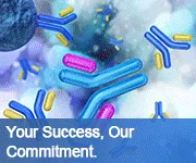 Creative Diagnostics