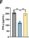 Fig.7.F showing Enzyme-linked immunosorbent assay from the publication: Extracellular vesicle-LncRNA HOTAIR modulates esophageal cancer chemoresistance and immune microenvironment via miR-375/CDH2 pathway.