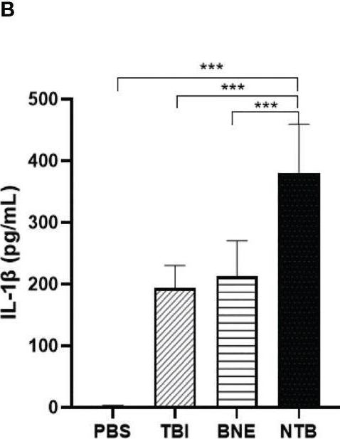 Fig.3.B showing Enzyme-linked immunosorbent assay from the publication: Tubeimuside I improves the efficacy of a therapeutic Fusobacterium nucleatum dendritic cell-based vaccine against colorectal cancer.