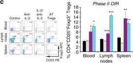 Fig.2.C showing Flow cytometry/Cell sorting in a Mus musculus (House mouse) sample from the publication: Foxp3+ Tregs are recruited to the retina to repair pathological angiogenesis.