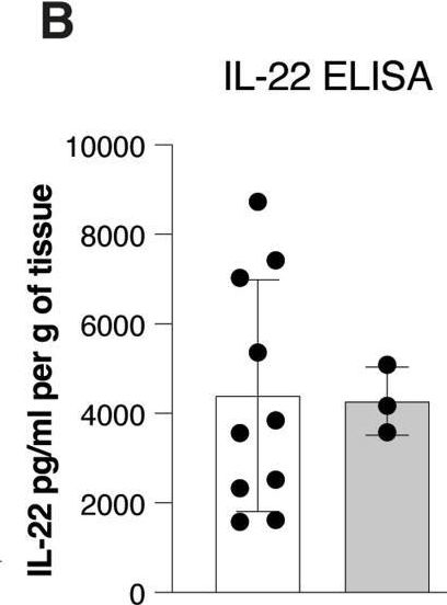 Fig.3.B showing Enzyme-linked immunosorbent assay from the publication: Beneficial and detrimental consequences of AHR activation in intestinal infection.