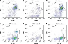 Fig.9.A showing Flow cytometry/Cell sorting in a Mus musculus (House mouse) sample from the publication: Inflammatory monocytes damage the hippocampus during acute picornavirus infection of the brain.