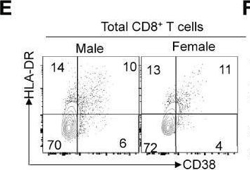 Fig.4.E showing Flow cytometry/Cell sorting from the publication: Markers of Memory CD8 T Cells Depicting the Effect of the BNT162b2 mRNA COVID-19 Vaccine in Japan.