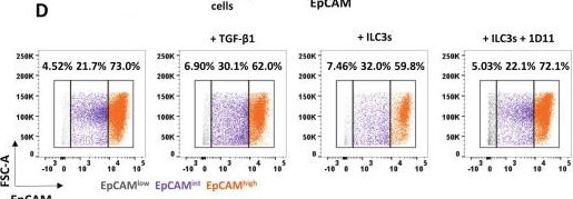 Fig.3.D showing Flow cytometry/Cell sorting from the publication: ILC3s mediate intestinal immune-epithelial interactions via TGF-β1 activation.