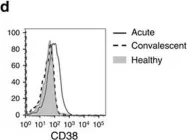 Fig.1.D showing Flow cytometry/Cell sorting from the publication: MAIT cells are activated during human viral infections.