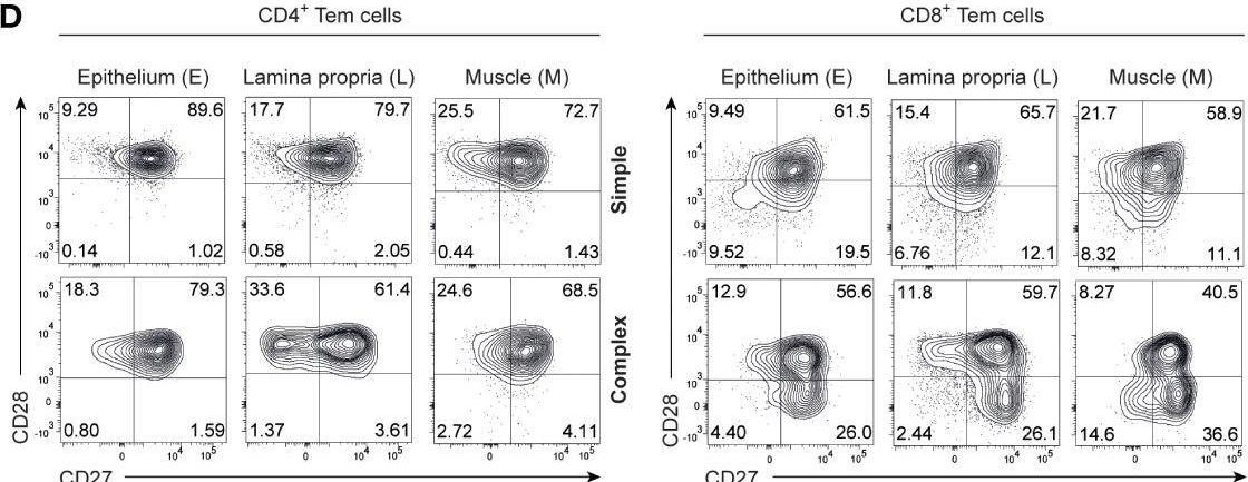 Fig.2.D showing Flow cytometry/Cell sorting in a Homo sapiens (Human) sample from the publication: Enhanced Th17 responses in the appendix of children with complex compared to simple appendicitis are associated with microbial dysbiosis.