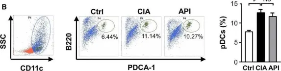 Fig.7.B showing Flow cytometry/Cell sorting from the publication: Apigenin, a potent suppressor of dendritic cell maturation and migration, protects against collagen-induced arthritis.