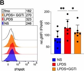 Fig.4.B showing Flow cytometry/Cell sorting in a Homo sapiens (Human) sample from the publication: Lipid deprivation amplifies type I IFN responses in monocytes through prenylation: insights from familial combined hypolipidemia type 2.