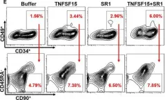 Fig.3.E showing Flow cytometry/Cell sorting in a Homo sapiens (Human) sample from the publication: TNFSF15 facilitates human umbilical cord blood haematopoietic stem cell expansion by activating Notch signal pathway.