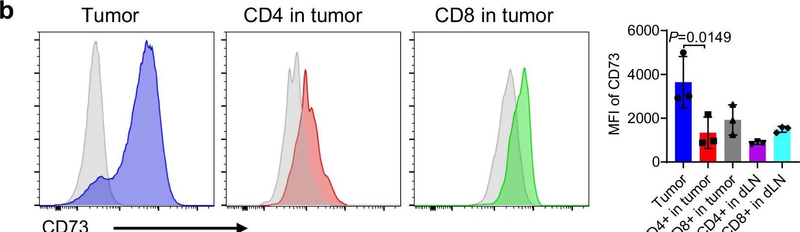 Fig.9.B showing Flow cytometry/Cell sorting in a Mus musculus (House mouse) sample from the publication: Metabolic reprograming mediated by tumor cell-intrinsic type I IFN signaling is required for CD47-SIRPα blockade efficacy.