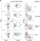 Fig.5.A showing Flow cytometry/Cell sorting from the publication: Correlates of Follicular Helper Bias in the CD4 T Cell Response to a Retroviral Antigen.