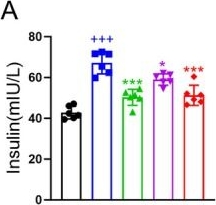 Fig.2.A from the publication: Anti-Diabetic Effects of Ayanin, a Flavonoid Compound, in STZ/HFD-Induced Diabetic Mice by Upregulating GLUT4 and Suppressing Macrophage-Driven Inflammation in Adipose Tissues.