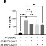 Fig.4.B showing Enzyme-linked immunosorbent assay from the publication: EPA-Derived diHEPAs Attenuate Lipopolysaccharide-Induced Acute Lung Injury by Regulating Inflammation and Redox Homeostasis.