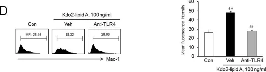 Fig.1.D showing Flow cytometry/Cell sorting from the publication: TLR4-mediated expression of Mac-1 in monocytes plays a pivotal role in monocyte adhesion to vascular endothelium.