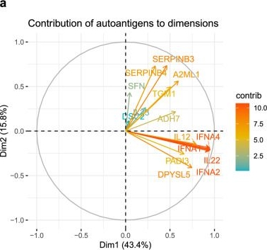 Fig.6.A from the publication: Autoantibody repertoire analysis in paraneoplastic pemphigus reveals novel targets linked to mucocutaneous blistering and bronchiolitis obliterans.