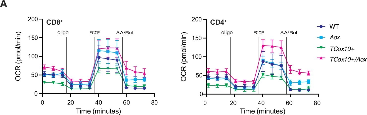 Fig.3.A showing Flow cytometry/Cell sorting in a Mus musculus (House mouse) sample from the publication: Cytochrome c oxidase dependent respiration is essential for T cell activation, proliferation and memory formation.