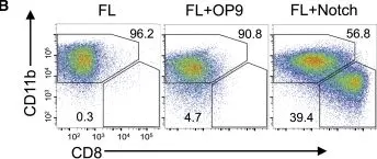 Fig.2.B showing Flow cytometry/Cell sorting in a Mus musculus (House mouse) sample from the publication: Notch Signaling Facilitates In Vitro Generation of Cross-Presenting Classical Dendritic Cells.