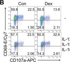 Fig.5.B showing Flow cytometry/Cell sorting from the publication: One-step knock-in CAR constructs in human NK cells enable scalable, TGFβ1-resistant immunotherapy for solid tumors.