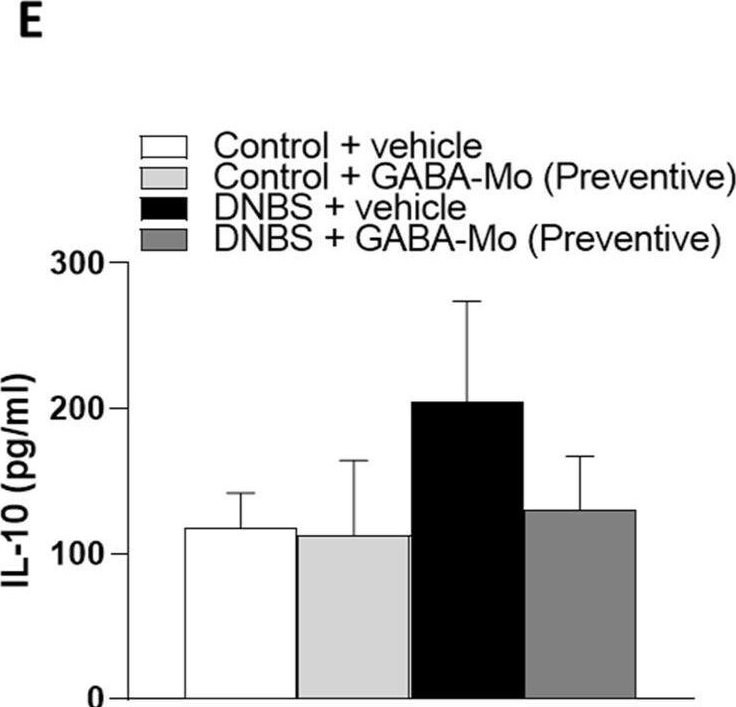 Fig.9.E showing Enzyme-linked immunosorbent assay from the publication: Evaluation of the beneficial effects of a GABA-based product containing Melissa officinalis on post-inflammatory irritable bowel syndrome: a preclinical study.