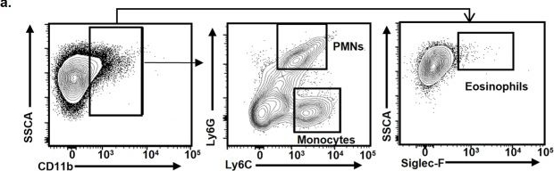 Fig.5.A showing Flow cytometry/Cell sorting from the publication: WFDC12-overexpressing contributes to the development of atopic dermatitis via accelerating ALOX12/15 metabolism and PAF accumulation.