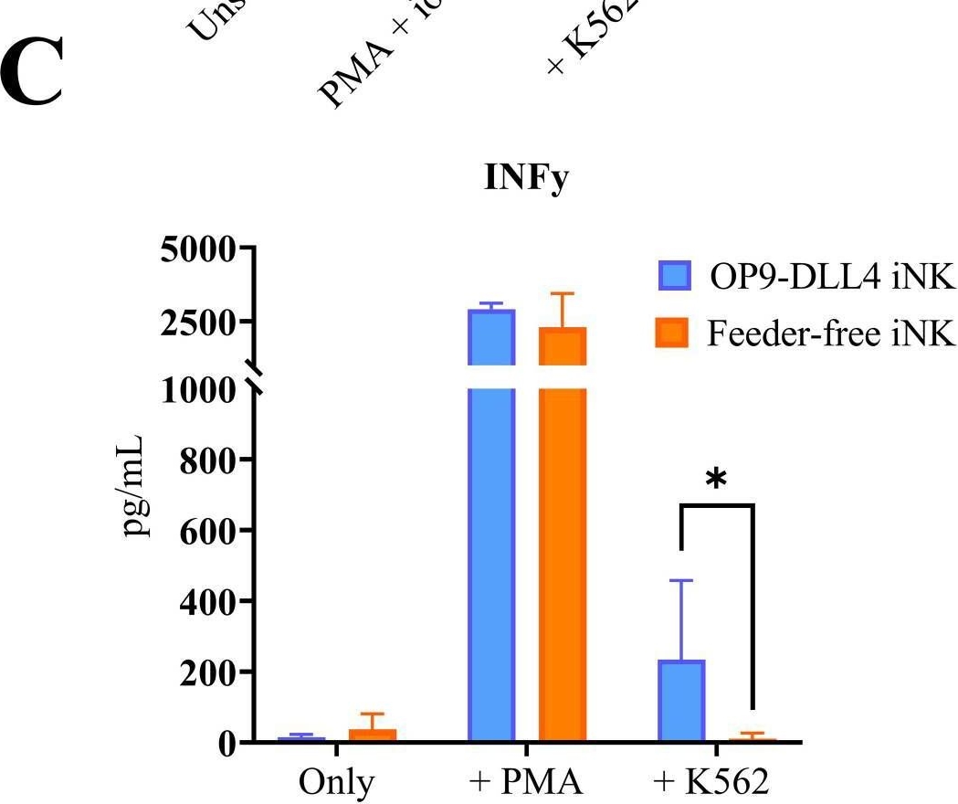 Fig.5.C showing Enzyme-linked immunosorbent assay in a Homo sapiens (Human) sample from the publication: Comparative analysis of iPSC-derived NK cells from two differentiation strategies reveals distinct signatures and cytotoxic activities.