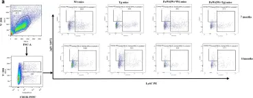 Fig.6.A showing Flow cytometry/Cell sorting in a Mus musculus (House mouse) sample from the publication: The effects of high plasma levels of Aβ1-42 on mononuclear macrophage in mouse models of Alzheimer's disease.