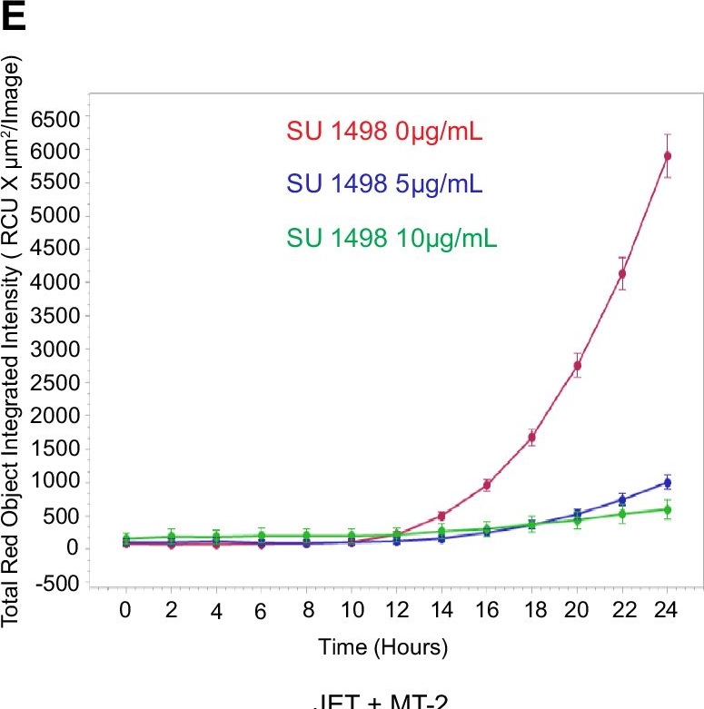Fig.4.E from the publication: The tyrosine kinase KDR is essential for the survival of HTLV-1-infected T cells by stabilizing the Tax oncoprotein.