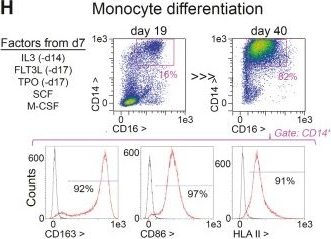 Fig.5.H showing Flow cytometry/Cell sorting from the publication: GMP-compliant iPS cell lines show widespread plasticity in a new set of differentiation workflows for cell replacement and cancer immunotherapy.