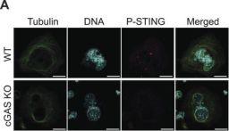 つっきーページ b2df5q8feypezjcbbxls.jpg