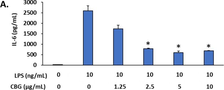 Fig.10.A showing Enzyme-linked immunosorbent assay from the publication: Polyglactin 910 Meshes Coated with Sustained-Release Cannabigerol Varnish Inhibit Staphylococcus aureus Biofilm Formation and Macrophage Cytokine Secretion: An In Vitro Study.