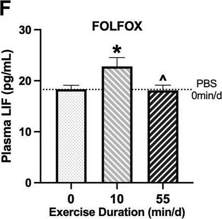Fig.2.F showing Enzyme-linked immunosorbent assay from the publication: Mouse skeletal muscle adaptations to different durations of treadmill exercise after the cessation of FOLFOX chemotherapy.