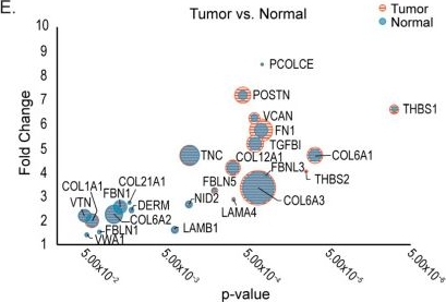 Fig.2.E from the publication: The Extracellular Matrix Environment of Clear Cell Renal Cell Carcinoma Determines Cancer Associated Fibroblast Growth.