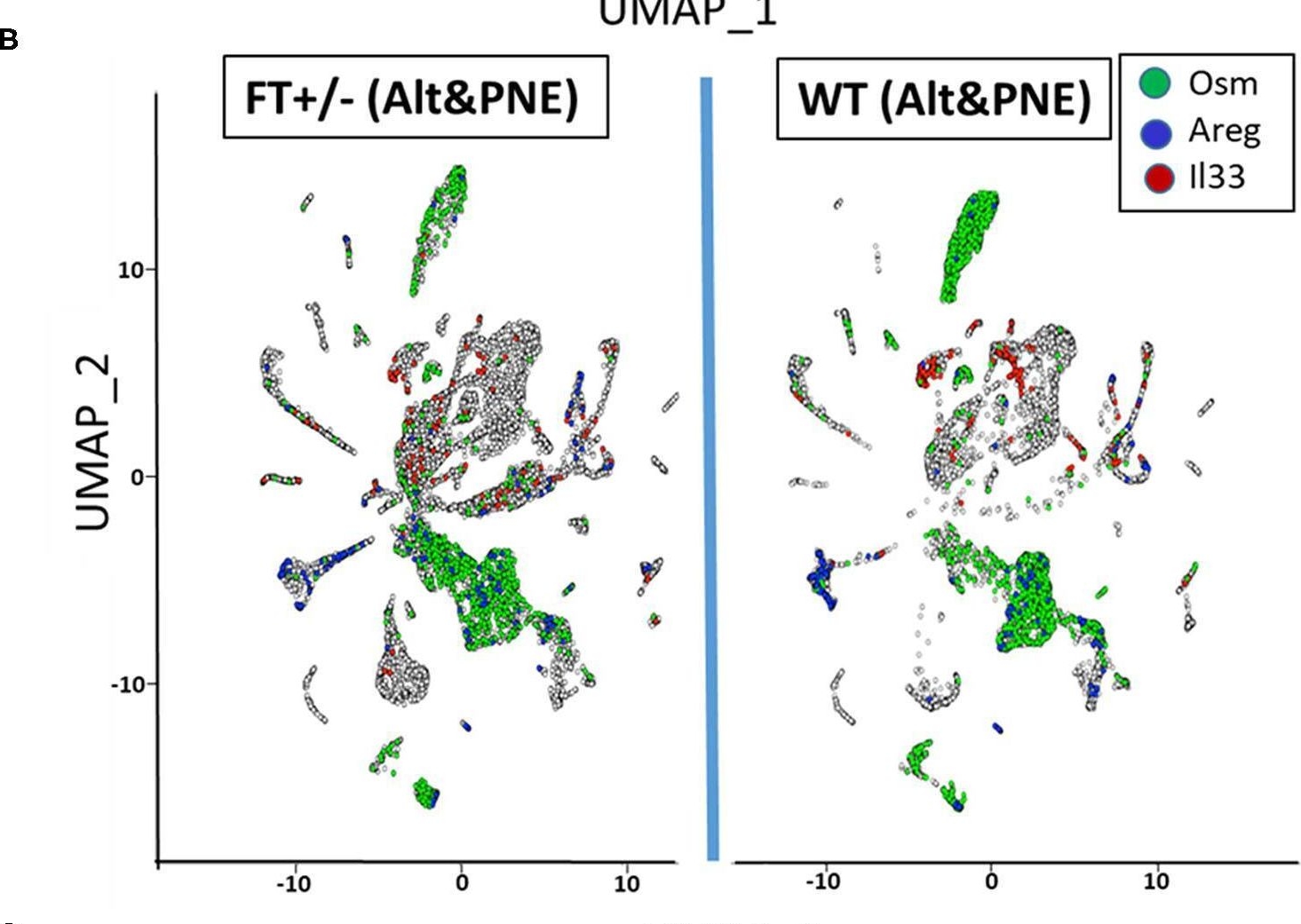 Fig.2.B showing Flow cytometry/Cell sorting in a Mus musculus (House mouse) sample from the publication: Mechanisms for Alternaria alternata Function in the Skin During Induction of Peanut Allergy in Neonatal Mice With Skin Barrier Mutations.