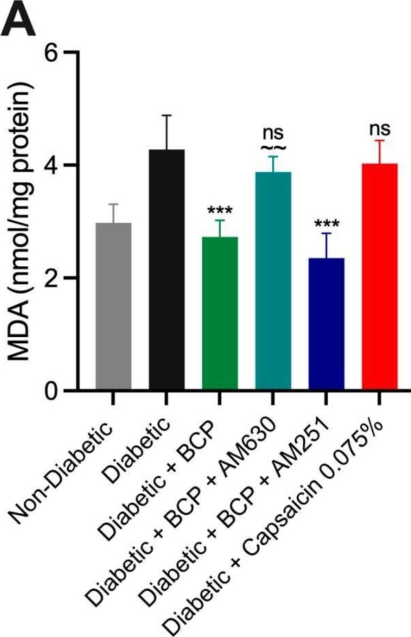 Fig.7.A from the publication: Intraplantar β-Caryophyllene Alleviates Pain and Inflammation in STZ-Induced Diabetic Peripheral Neuropathy via CB2 Receptor Activation.