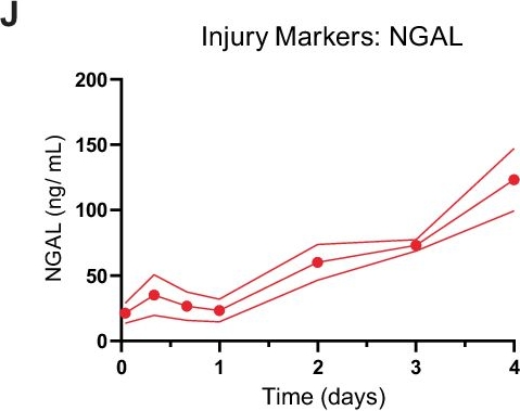 Fig.6.J showing Enzyme-linked immunosorbent assay from the publication: A cell-free nutrient-supplemented perfusate allows four-day ex vivo metabolic preservation of human kidneys.