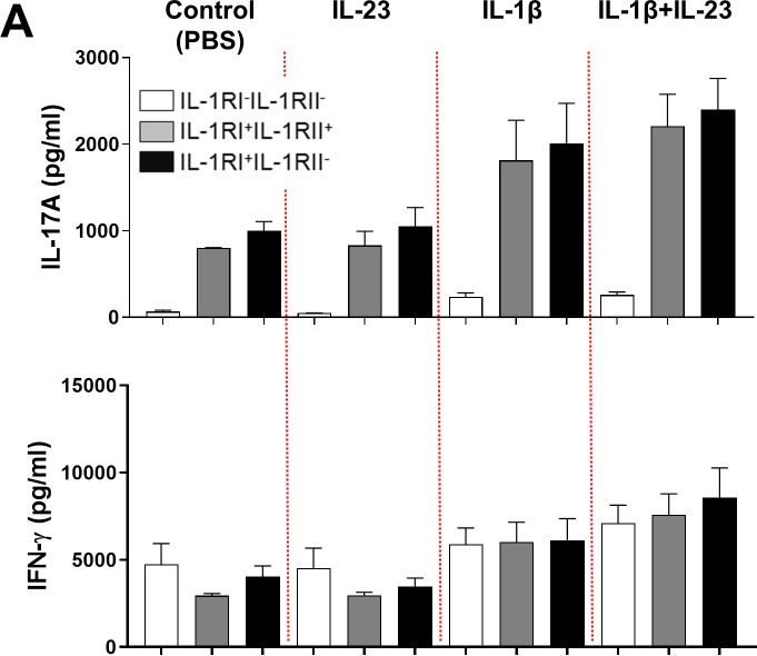 Fig.6.A showing Enzyme-linked immunosorbent assay from the publication: Induction of the IL-1RII decoy receptor by NFAT/FOXP3 blocks IL-1β-dependent response of Th17 cells.
