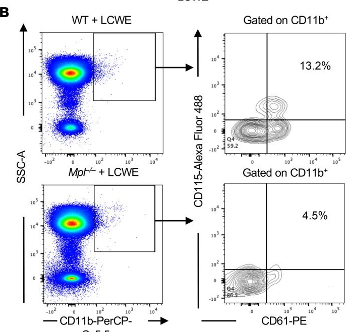 Fig.5.B showing Flow cytometry/Cell sorting in a Mus musculus (House mouse) sample from the publication: Platelets exacerbate cardiovascular inflammation in a murine model of Kawasaki disease vasculitis.
