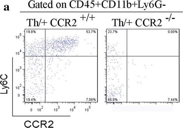 Fig.7.A showing Flow cytometry/Cell sorting in a Mus musculus (House mouse) sample from the publication: Differential contribution of immune effector mechanisms to cortical demyelination in multiple sclerosis.