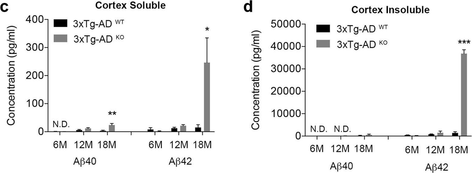 Fig.1.C,D showing Enzyme-linked immunosorbent assay in a Mus musculus (House mouse) sample from the publication: microRNA-132/212 deficiency enhances Aβ production and senile plaque deposition in Alzheimer's disease triple transgenic mice.