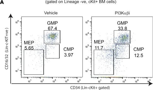 Fig.4.A showing Flow cytometry/Cell sorting in a Mus musculus (House mouse) sample from the publication: Loss of Dnmt3a impairs hematopoietic homeostasis and myeloid cell skewing via the PI3Kinase pathway.