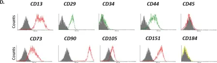 Fig.1.D showing Flow cytometry/Cell sorting in a Homo sapiens (Human) sample from the publication: Coculture of meniscus cells and mesenchymal stem cells in simulated microgravity.