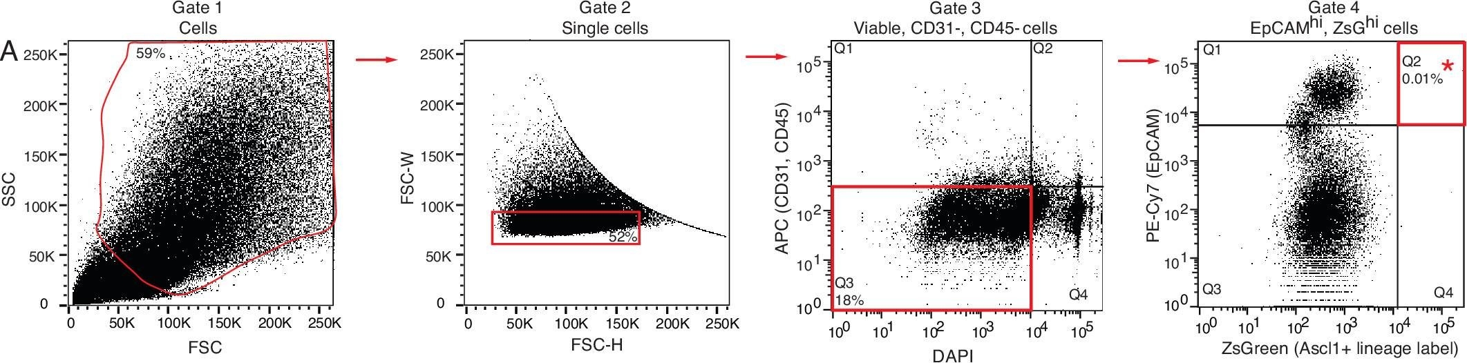 Fig.1.A showing Flow cytometry/Cell sorting in a Mus musculus (House mouse) sample from the publication: Neuroendocrinology of the lung revealed by single-cell RNA sequencing.