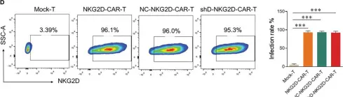 Fig.2.D showing Flow cytometry/Cell sorting from the publication: shRNA-mediated gene silencing of HDAC11 empowers CAR-T cells against prostate cancer.