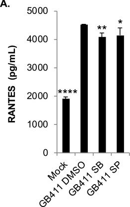 Fig.5.A showing Enzyme-linked immunosorbent assay from the publication: Distinct Group B Streptococcus Sequence and Capsule Types Differentially Impact Macrophage Stress and Inflammatory Signaling Responses.